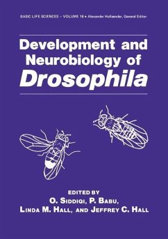 Cover Development and Neurobiology of Drosophila (eBook, PDF)