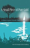 Small Piece of Pure Gold (eBook, ePUB) Small Piece of Pure Gold (eBook, ePUB)