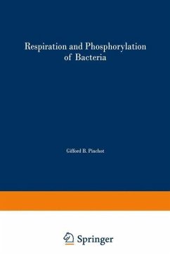 Cover Respiration and Phosphorylation of Bacteria (eBook, PDF)