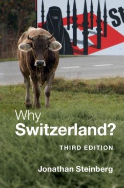 Why Switzerland? (eBook, PDF) - Steinberg, Jonathan