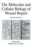 The Molecular and Cellular Biology of Wound Repair (eBook, PDF)