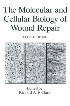 Cover The Molecular and Cellular Biology of Wound Repair (eBook, PDF)