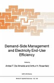 Demand-Side Management and Electricity End-Use Efficiency (eBook, PDF)