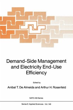 Demand-Side Management and Electricity End-Use Efficiency (eBook, PDF)