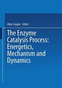 Cover The Enzyme Catalysis Process (eBook, PDF)