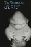 The Mammalian Fetus in vitro (eBook, PDF)