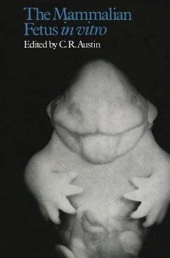The Mammalian Fetus in vitro (eBook, PDF) - Austin, C. R.