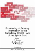 Processing of Sensory Information in the Superficial Dorsal Horn of the Spinal Cord (eBook, PDF)