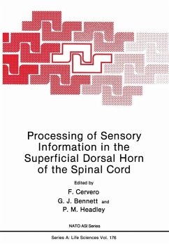 Processing of Sensory Information in the Superficial Dorsal Horn of the Spinal Cord (eBook, PDF) - Cervero, F.; Bennett, G. J.; Headley, P. M.