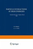 Particle Interactions at High Energies (eBook, PDF)