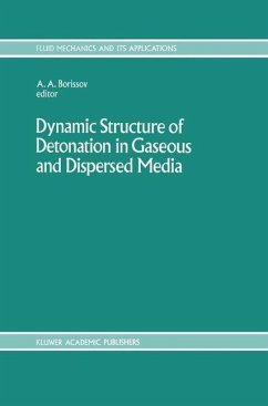 Dynamic Structure of Detonation in Gaseous and Dispersed Media (eBook, PDF)
