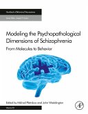 Modeling the Psychopathological Dimensions of Schizophrenia (eBook, ePUB)