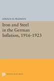 Iron and Steel in the German Inflation, 1916-1923 (eBook, PDF)