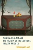 Magical Realism and the History of the Emotions in Latin America (eBook, ePUB)