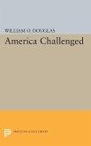 America Challenged (eBook, PDF)