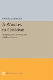 Window to Criticism (eBook, PDF)