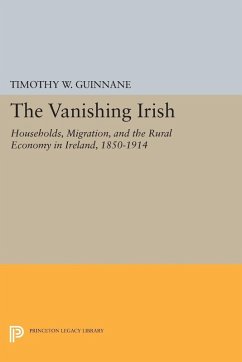Cover Vanishing Irish (eBook, PDF)