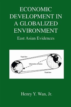 Economic Development in a Globalized Environment (eBook, PDF) - Wan Jr., Henry Y.