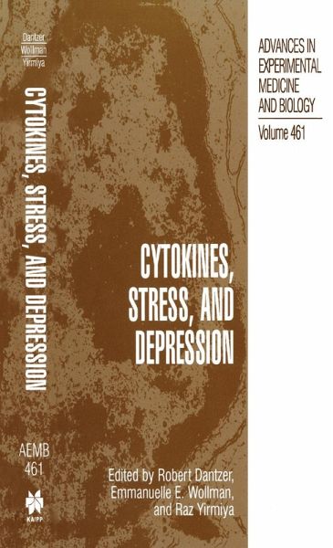 Cytokines, Stress, and Depression (eBook, PDF)