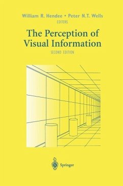 Cover The Perception of Visual Information (eBook, PDF)