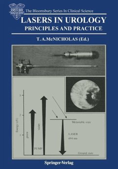 Lasers in Urology (eBook, PDF)