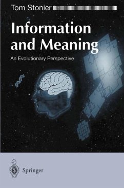 Information and Meaning (eBook, PDF) - Stonier, Tom