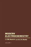 Volume 1 Modern Electrochemistry (eBook, PDF)
