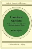 Constituent Questions (eBook, PDF)
