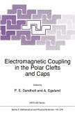 Electromagnetic Coupling in the Polar Clefts and Caps (eBook, PDF)