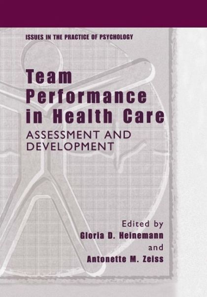 Team Performance in Health Care (eBook, PDF)