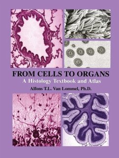 From Cells to Organs (eBook, PDF) - Lommel, Alfons T. L. Van