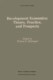 Development Economics: Theory, Practice, and Prospects (eBook, PDF)