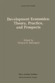 Development Economics: Theory, Practice, and Prospects (eBook, PDF)
