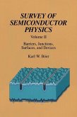 Survey of Semiconductor Physics (eBook, PDF)