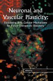 Neuronal and Vascular Plasticity (eBook, PDF)