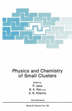 Cover Physics and Chemistry of Small Clusters (eBook, PDF)