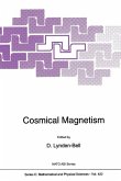 Cosmical Magnetism (eBook, PDF)