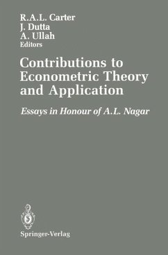Cover Contributions to Econometric Theory and Application (eBook, PDF)
