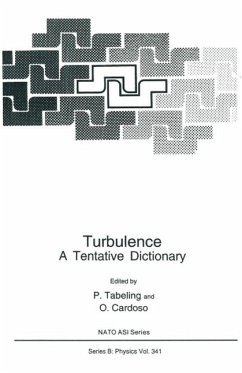 Turbulence (eBook, PDF)