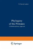 Phylogeny of the Primates (eBook, PDF)