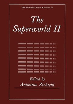 The Superworld II (eBook, PDF)