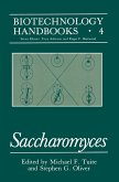 Saccharomyces (eBook, PDF)