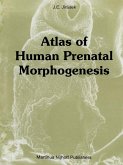 Atlas of Human Prenatal Morphogenesis (eBook, PDF)