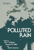 Polluted Rain (eBook, PDF)