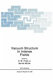 Vacuum Structure in Intense Fields (eBook, PDF)