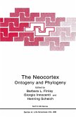 The Neocortex (eBook, PDF)