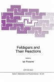Feldspars and their Reactions (eBook, PDF)