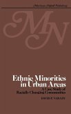 Ethnic minorities in urban areas (eBook, PDF)