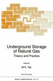 Underground Storage of Natural Gas (eBook, PDF)