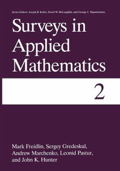 Surveys in Applied Mathematics (eBook, PDF) - Freidlin, Mark I.; Gredeskul, Sergey; Hunter, John K.; Marchenko, Andrew; Pastur, Leonid